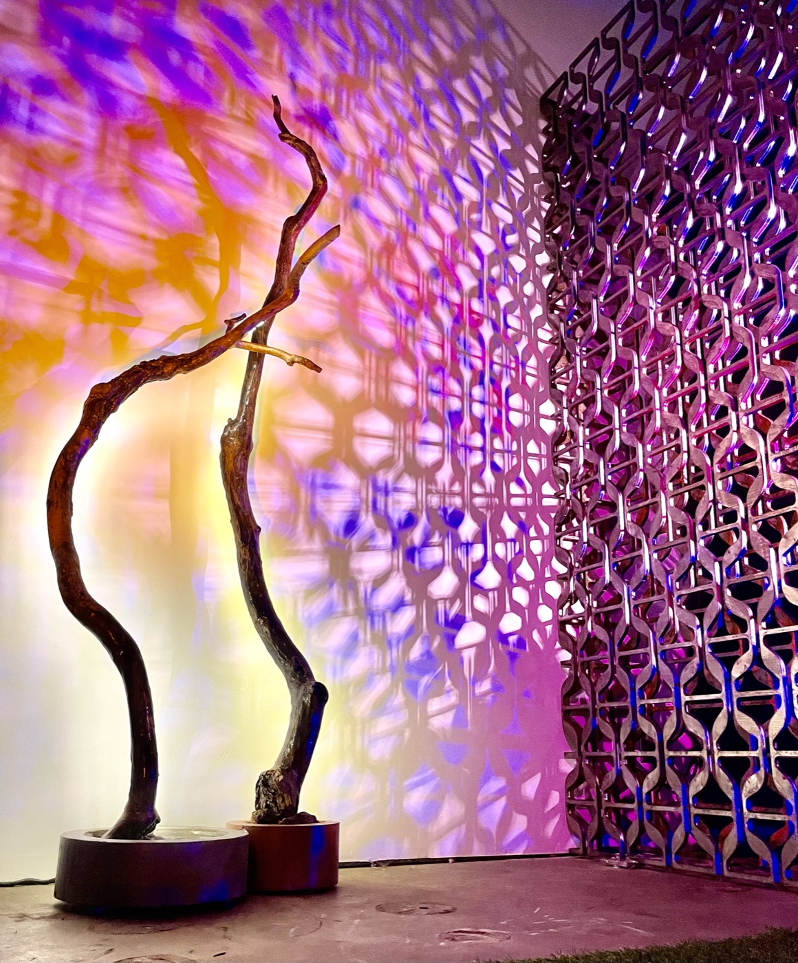 Driftwood sculpture against a backlit laser-cut steel screen washed in color